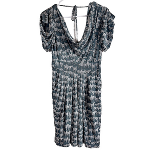 EVA FRANCO {Anthropologie} Silk Zebra Dress
